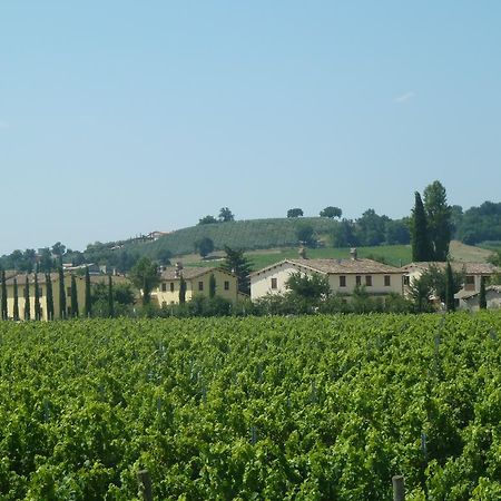 Agriturismo Villaggio Green Montefalco Buitenkant foto
