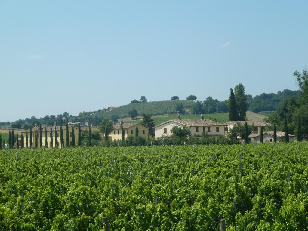 Agriturismo Villaggio Green Montefalco Buitenkant foto